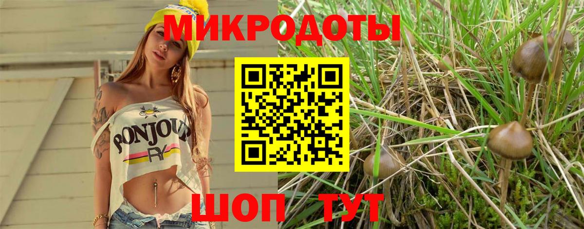 Псилоцибиновые грибы Magic Shrooms  Вход с VPN  Полысаево 